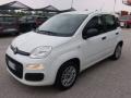 usato FIAT Panda