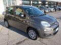 usato FIAT Panda