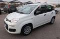 usato FIAT Panda