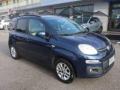 usato FIAT Panda