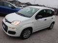 usato FIAT Panda