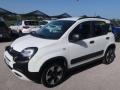 usato FIAT Panda