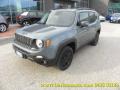 usato JEEP Renegade