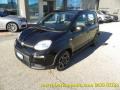 usato FIAT Panda