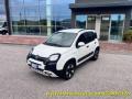 usato FIAT Panda