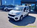 usato FIAT Fiorino