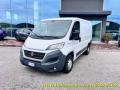 usato FIAT Ducato