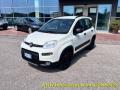usato FIAT Panda