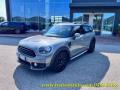 usato MINI Countryman