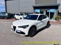 usato ALFA ROMEO Stelvio