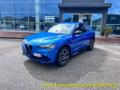 usato ALFA ROMEO Stelvio