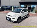 usato FIAT Panda