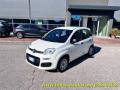 usato FIAT Panda