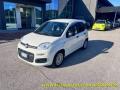 usato FIAT Panda