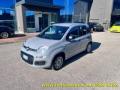 usato FIAT Panda