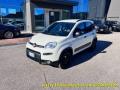 usato FIAT Panda