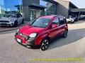 usato FIAT Panda