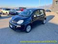 usato FIAT Panda