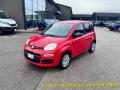 usato FIAT Panda