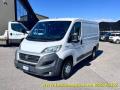 usato FIAT Ducato
