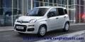 usato FIAT Panda