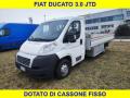 usato FIAT Ducato
