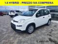 usato FIAT Panda