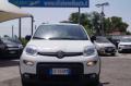 usato FIAT Panda