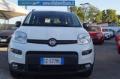 usato FIAT Panda