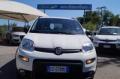 usato FIAT Panda