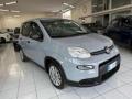 usato FIAT Panda