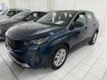 usato PEUGEOT 3008