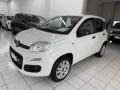usato FIAT Panda