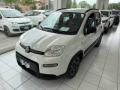 usato FIAT Panda
