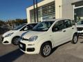 usato FIAT Panda