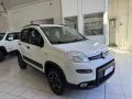 usato FIAT Panda