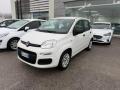 usato FIAT Panda