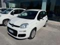 usato FIAT Panda