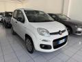 usato FIAT Panda