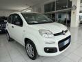 usato FIAT Panda