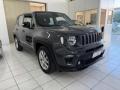usato JEEP Renegade