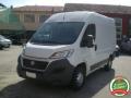 usato FIAT Ducato