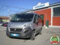usato FIAT Ducato