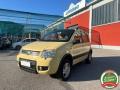 usato FIAT Panda