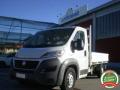 usato FIAT Ducato
