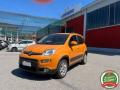 usato FIAT Panda
