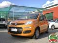 usato FIAT Panda