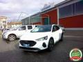 usato FORD Focus