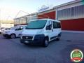 usato FIAT Ducato