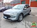 usato FORD Kuga